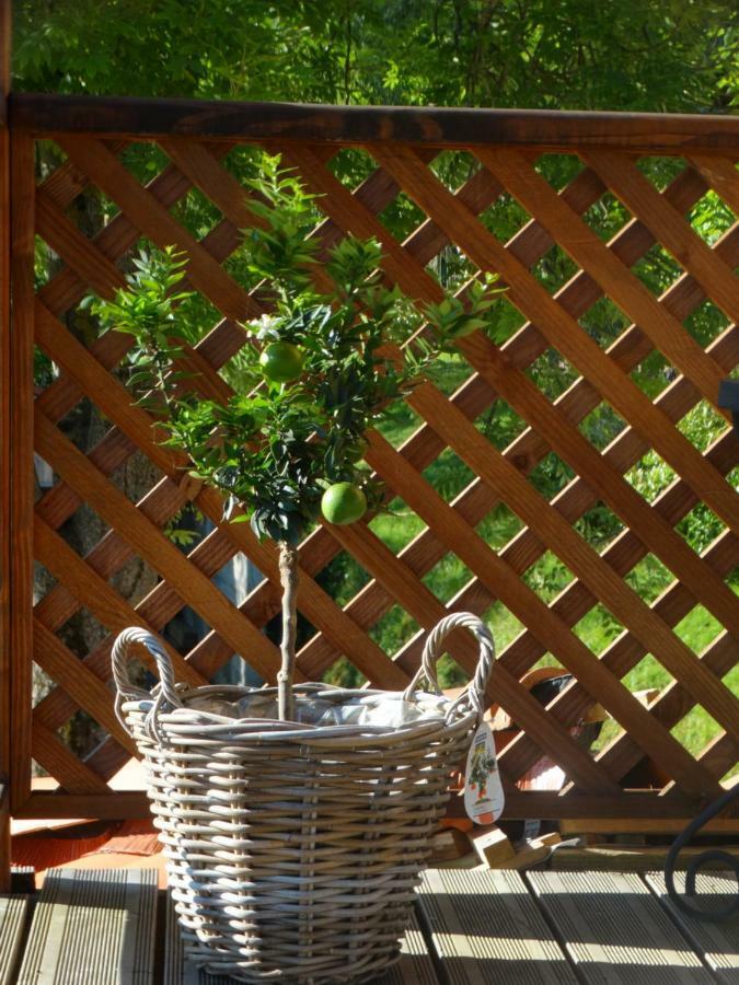 Estadens Gite Colombe Des Bois מראה חיצוני תמונה